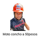 Moto concho económico