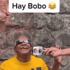 Hay bobo