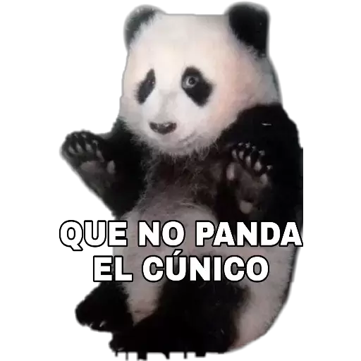 Que no panda el cunico #018517 Sticker de WhatsApp - DescargarStickers