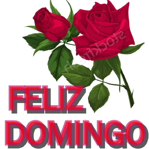 Feliz Domingo Sticker de WhatsApp - DescargarStickers