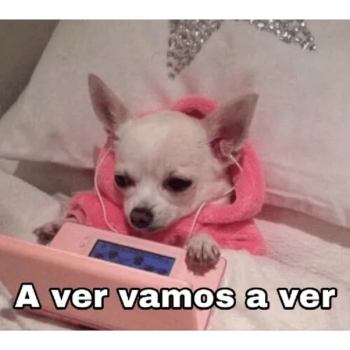 A ver, vamos a ver Sticker de WhatsApp DescargarStickers