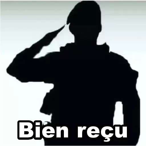 Bien reçu Sticker de WhatsApp DescargarStickers